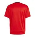 Camisa Mengão Icon 2025 Masculina